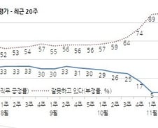 '샤이 박근혜'도 없다…朴대통령 '버티기' 무위로 돌아가나