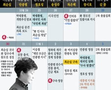 미르·K재단부터 최순실청문회까지··48일만에 탄핵논란 종지부