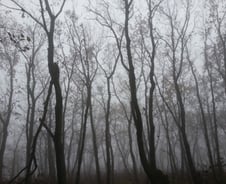 모든 것을 통 크게 아우르는 제3의 길은 어디?