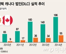 [단독]동부라이텍, 加법인 지분 매각…관수시장 본격 진입