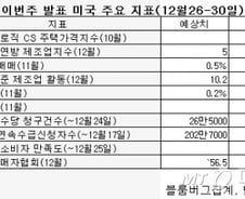 주춤해진 트럼프랠리…다우 지수 연내 2만 돌파 가능할까 주목