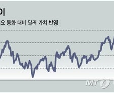 '트럼프노믹스', 신흥시장에는 '트럼프의 저주'될까