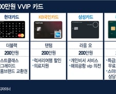 [단독]현대카드 연회비 250만원 VVIP카드 이달초 승인