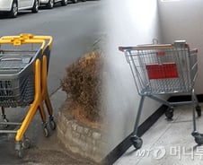 [우보세]100원에 '장기임대(?)'한 마트 카트
