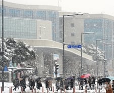 [정두언의 정치상식]권력놀음으로 탄생한 세종시