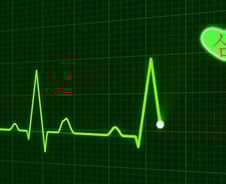 심여를 기울이지 말고 '심혈'을… 