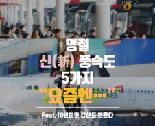 [카드뉴스]모바일 세뱃돈·드라마 정주행…명절 신풍속