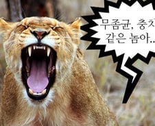 욕으로 쓰이는 '염병', 원래는 무슨 뜻?