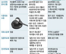 [단독]상법 중 전자투표·다중대표소송제만 2월국회 처리