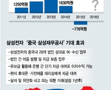 [단독]삼성전자도 사드 보복…中 '삼성재무공사' 인가 불발