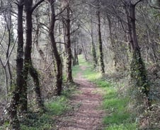 행복이 제 발로 찾아오게 하라