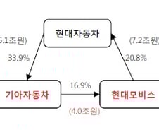 현대차그룹의 지주사 후보는?…현대차 vs 모비스