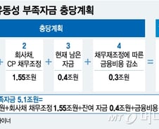 대우조선에 투입하는 신규자금 2.9조,  무슨 근거로 나왔나 