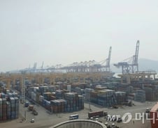 다시 살아나나..한진해운 직격탄 부산신항만 제3부두 가보니