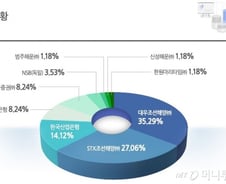 [단독]SM그룹 한국선박금융 인수한다