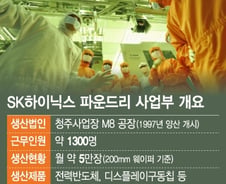 [단독]SK하이닉스, 파운드리 분사…박성욱 부회장 '승부수' 
