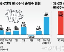 미국계의 압도적인 'BUY KOREA'…올 들어 9조 샀다  