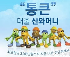 [단독]국세청, 대부업계 1위 산와머니 세무조사  