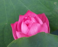 우리는 노동자를 불렀는데 사람들이 왔다