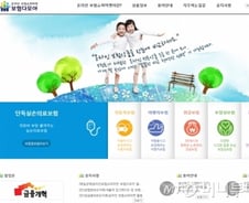[단독]보험다모아, 8월부터 다음과 서비스…네이버와 협상 불발