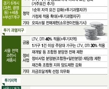 서울·과천·세종 투기과열지구 지정, 다주택자 양도세 중과