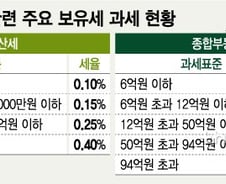 8·2 대책에 '보유세 폭탄' 왜 빠졌나…"히든카드 남겨둬야"