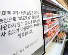 'AI 여파에 살충제 파문까지..' 계란값 또 치솟나