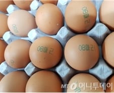 살충제계란 '08마리·08LSH' 표시…식약처, 일제 수거