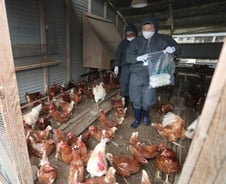 [르포]'부적합→적합' 농장주의 하소연 "10년 거래처도 끊겼다"