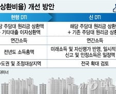 [단독]新DTI로 복수 주택담보대출 막는다