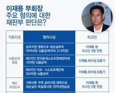 [인포그래픽] 이재용 부회장의 혐의, 뭔가 보니…
