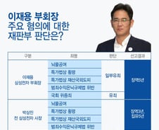 [그래픽뉴스] 이재용 부회장 혐의별 정리