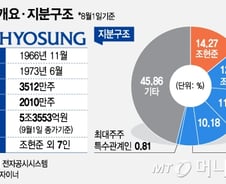 [단독]효성, 지주회사 전환…조만간 이사회서 결정