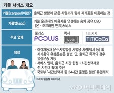 [단독] "카풀앱, 출퇴근 시간 외 이용은 불법"