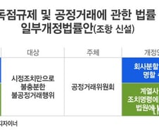 [the L 리포트] 공정위가 "기업 쪼개라" 명령?…"위헌 소지"