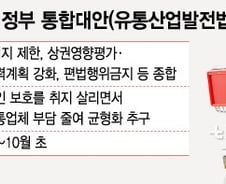 [단독]대형유통업 규제, 정부가 '통합·균형 대안' 만든다