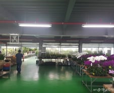 [르포]"국내유일 화훼특구 매출 1/3로 시들어"