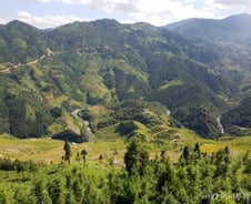 [르포]오지 산골의 생존 농법, 1400년 뒤 친환경으로 날다 