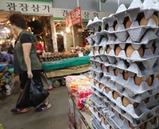 [단독]'살충제 계란' 재발차단…식약처 기능 환원 추진