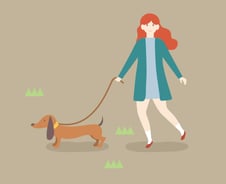 "우리 개는 안 물어요"?…사람 물려도 처벌은 고작