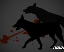 '한일관' '프렌치불독' '패혈증'… 궁금증 셋