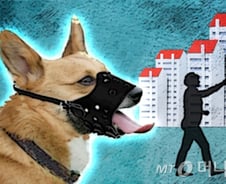 "최시원法 제정해달라"…청와대 청원 '봇물' 