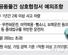[단독]내년부터 사고 많은 운전자도 자차·자손보험 가입한다