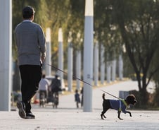 故 한일관 대표 혈액서 ‘녹농균’ 검출…저항력 저하시 치명적