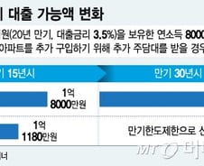 '2억 주담대' 받은 연봉 8000만원 A씨, 9억집 또 사려면?