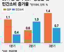 경제 3% 성장했는데 가계소비는 왜 부진할까?