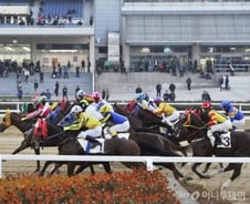[단독]경마, 24년째 한도 10만원…'일반 5만원·회원 고액베팅' 추진