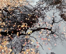 기린과 자칼이 춤추는 4단계 비폭력 대화법