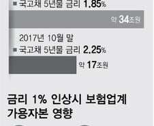 [단독]금리 상승으로 보험사 자본확충 부담 17조원 감소