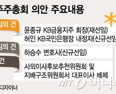 [단독]국민연금, KB금융 주총 의결권 행사 적절성 시비